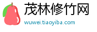 茂林修竹网